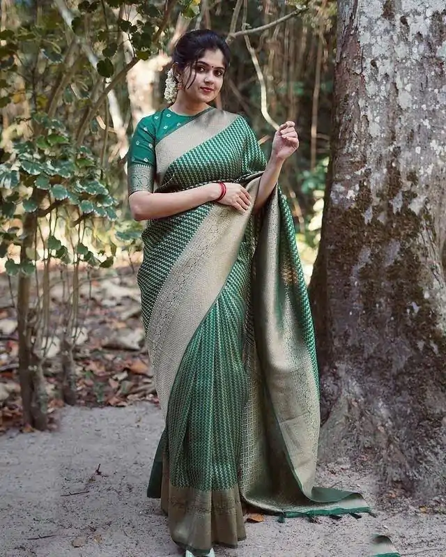 DDF PAYAL GreenColor Soft Lichi Silk Ordinary Design Rich Pallu Saree Casual, Party Wear, Events, Festivals Etc. Expected Delivery 4-6 Working Days 1349/ | Designer Sarees, Embroidered Sarees, Sarees, Bollywood Sarees, Creative Sarees, Ethnic Saree, Modern Digital sarees, Party Wear Sarees