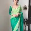 Superb Pista And Green Color Georgette Silk Multi Combination All over The Saree