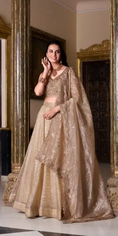 LNB 1430 Chiku Color Gold Crush Plain Canvas Lehenga Choli Wedding, Party, Festive, Events Etc. Delivery 4-6 Working Days Rs 3199 | Lehenga, Bollywood Lehenga, Creative Lehenga, Designer Lehenga, Embroidered Lehenga, Party Wear Lehenga