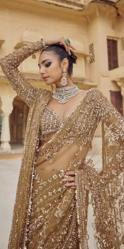 DF 3441 Chiku Color Mono Net Heavy 5mm Sequins Embroidery Work Saree Casual, Wedding, Festive, Events . Expected Delivery  4-6 Working Days @1799/- only                                                                                | Designer Sarees, Embroidered Sarees, Sarees, Bollywood Sarees, Creative Sarees, Ethnic Saree, Modern Digital sarees, Party Wear Sarees