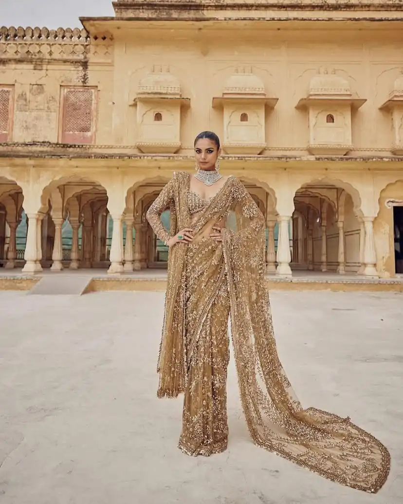 DF 3441 Chiku Color Mono Net Heavy 5mm Sequins Embroidery Work Saree Casual, Wedding, Festive, Events . Expected Delivery  4-6 Working Days @1799/- only                                                                                | Designer Sarees, Embroidered Sarees, Sarees, Bollywood Sarees, Creative Sarees, Ethnic Saree, Modern Digital sarees, Party Wear Sarees