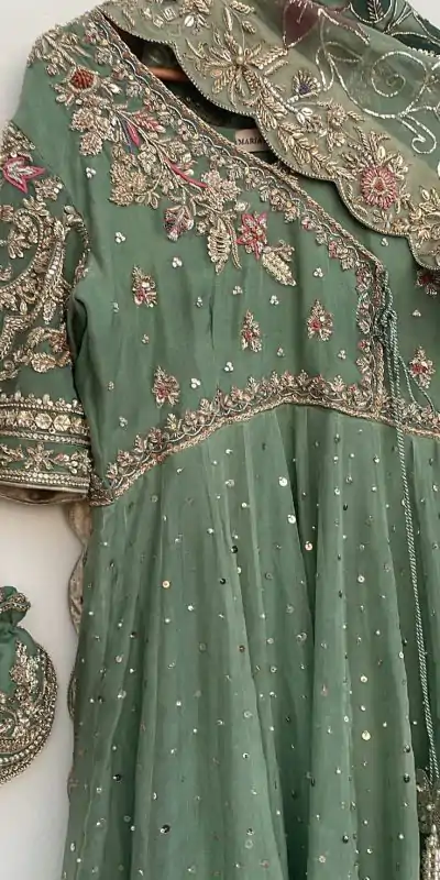 LG 2009 Pista Chinon Gown Perfect for Wedding, Party, Pongal, Ganesh Chaturthi, Family Gatherings – . Introductory Price ₹2099. Delivery 4-6 Working Days | Gowns, Bollywood Gowns, Creative Gowns, Designer Gowns, Embroidered Gowns, Party Wear Gowns