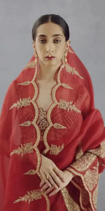 DF Queen Red Organza Tissue Saree with Sequins Work & Embroidery. Festive Deal ₹2499. Delivery 4-6 Working Days. Shop now. | Designer Sarees, Embroidered Sarees, Sarees, Bollywood Sarees, Creative Sarees, Ethnic Saree, Modern Digital sarees, Party Wear Sarees