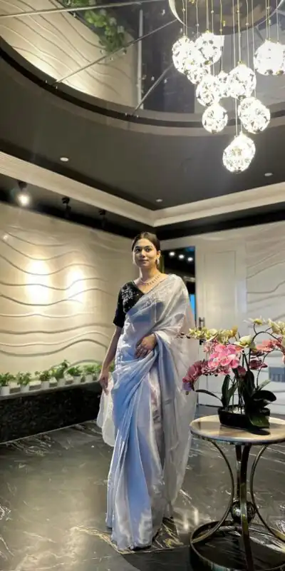 AC JIYA Silver Soft Jimmy Chuu with Lace Border & Lace Work Saree . Available at ₹3049 only. Delivery 4-6 Working Days. Shop now. | Designer Sarees, Embroidered Sarees, Sarees, Bollywood Sarees, Creative Sarees, Ethnic Saree, Modern Digital sarees, Party Wear Sarees