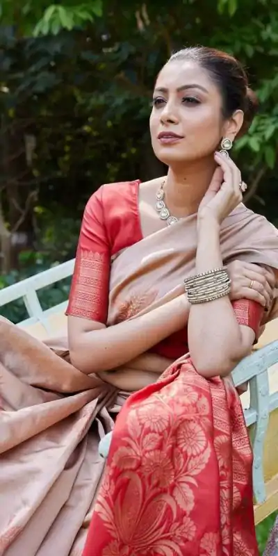 KPR 257 Chiku Soft Lichi Silk Saree with Lace Work & Lace Border. Now at just ₹1349. Delivery 4-6 Working Days. Shop now. | Designer Sarees, Embroidered Sarees, Sarees, Bollywood Sarees, Creative Sarees, Ethnic Saree, Modern Digital sarees, Party Wear Sarees