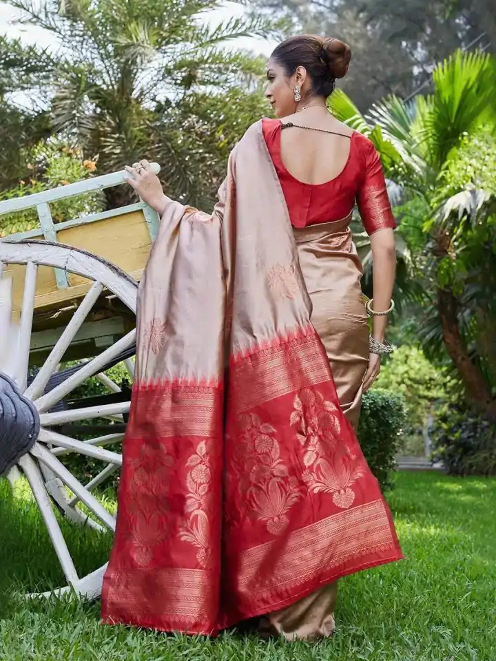 KPR 257 Chiku Soft Lichi Silk Saree with Lace Work & Lace Border. Now at just ₹1349. Delivery 4-6 Working Days. Shop now. | Designer Sarees, Embroidered Sarees, Sarees, Bollywood Sarees, Creative Sarees, Ethnic Saree, Modern Digital sarees, Party Wear Sarees