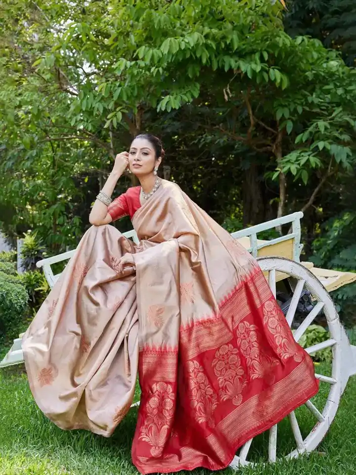 KPR 257 Chiku Soft Lichi Silk Saree with Lace Work & Lace Border. Now at just ₹1349. Delivery 4-6 Working Days. Shop now. | Designer Sarees, Embroidered Sarees, Sarees, Bollywood Sarees, Creative Sarees, Ethnic Saree, Modern Digital sarees, Party Wear Sarees