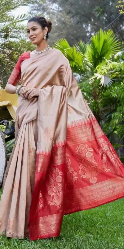 KPR 257 Chiku Soft Lichi Silk Saree with Lace Work & Lace Border. Now at just ₹1349. Delivery 4-6 Working Days. Shop now. | Designer Sarees, Embroidered Sarees, Sarees, Bollywood Sarees, Creative Sarees, Ethnic Saree, Modern Digital sarees, Party Wear Sarees