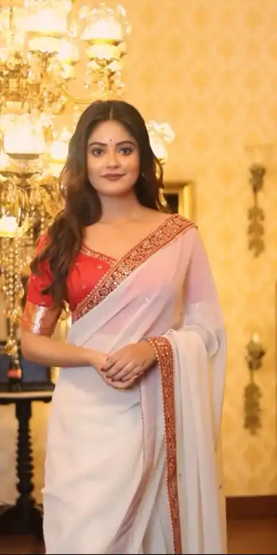 White Georgette Zari Work Saree