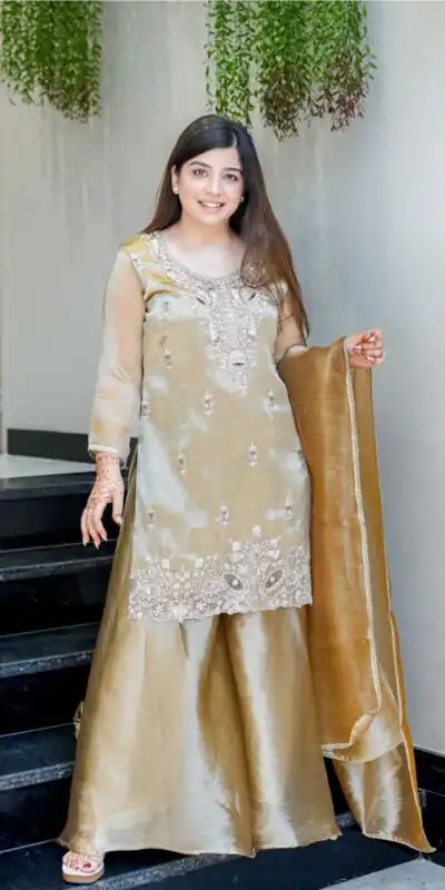 SSR 531 Brown Jimmy Choo Salwar Suit Perfect for Wedding, Party, Baby Shower, Durga Puja, Engagement – . Get it for ₹1949. Delivery 4-6 Working Days. | Jump Suits, Salwar suit, Casual Suits, Creative suits, Designer Suits, Palazzo Suits, Party Wear Suits, Patiala Suits, Straight Suits