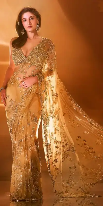 BT 388 Chiku Nylon Butterfly Net Saree with Lace Border & Lace Work. Exclusive Offer ₹1774. Delivery 4-6 Working Days. Shop now. | Sarees, Bollywood Sarees, Creative Sarees, Designer Sarees, Embroidered Sarees, Ethnic Saree, Modern Digital sarees, Party Wear Sarees