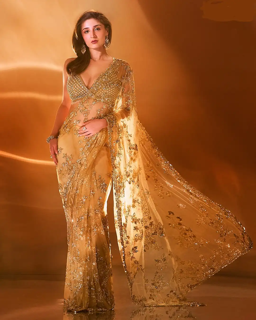 BT 388 Chiku Nylon Butterfly Net Saree with Lace Border & Lace Work. Exclusive Offer ₹1774. Delivery 4-6 Working Days. Shop now. | Sarees, Bollywood Sarees, Creative Sarees, Designer Sarees, Embroidered Sarees, Ethnic Saree, Modern Digital sarees, Party Wear Sarees