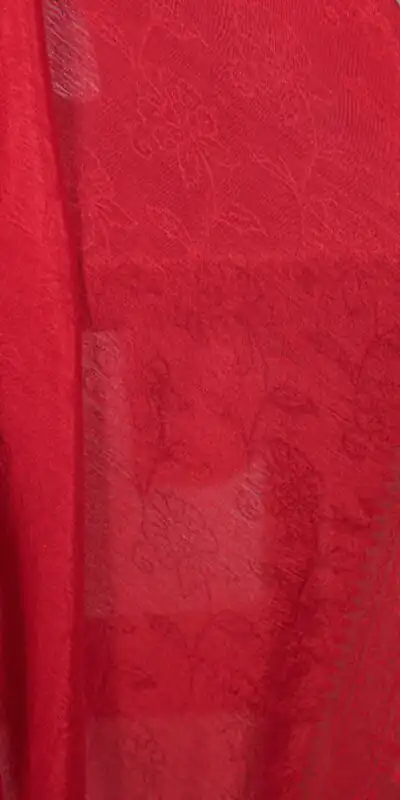 YNF 7916 Red Chinon Saree with Zari Work. Wedding, Party, Festive, Events Festive Deal ₹1699. Delivery 4-6 Working Days. Shop now. | Designer Sarees, Sarees, Bollywood Sarees, Creative Sarees, Embroidered Sarees, Ethnic Saree, Modern Digital sarees, Party Wear Sarees