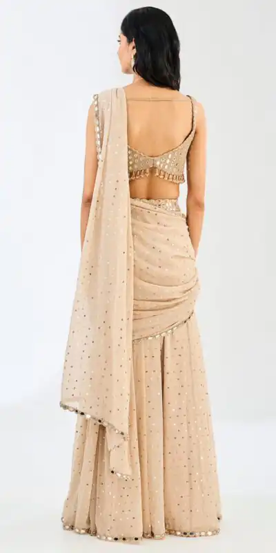 BD 1821 Chiku in Faux Georgette Mirror Work Saree . Wedding, Party, Festive, Events, Grab it for ₹2499. Delivery 4-6 Working Days. Shop now. | Designer Sarees, Sarees, Bollywood Sarees, Creative Sarees, Embroidered Sarees, Ethnic Saree, Modern Digital sarees, Party Wear Sarees