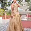 Solid Chiku Gold Crush Embroider Work Lehenga Choli