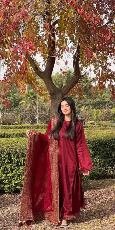 Red Natural Crep Silk With Embroider Salwar Suit