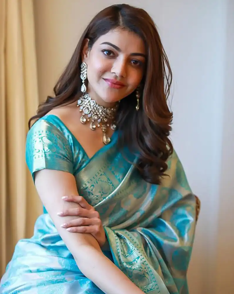 Sky Blue Soft Lichi Silk On All Over Border Saree - Image 6