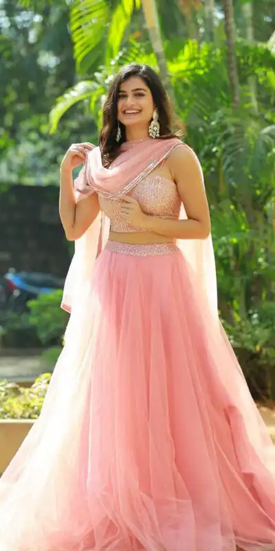 Light Pink Butterfly Net Zari Work Lehenga Choli