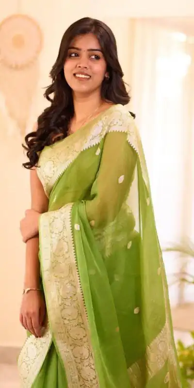 Alternative view of Perfect Light Green Soft Lilan Slab Jacquard Work Saree