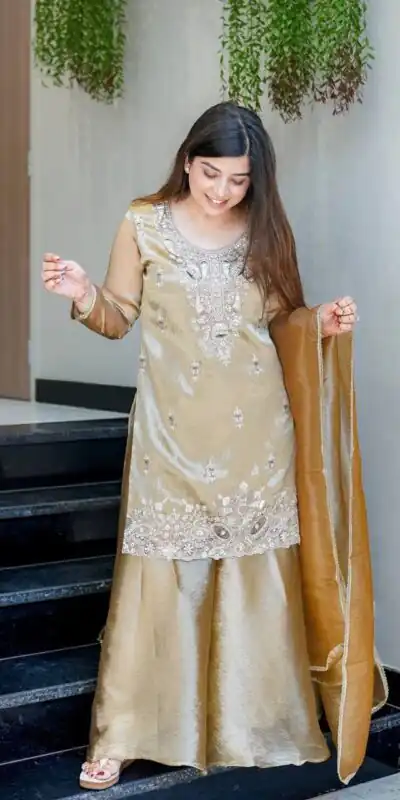 DC 114 Chiku Fandy Satin Salwar Suit with Embroidery Work & Lace Work. Exclusive Offer ₹1899. Delivery 4-6 Working Days. Shop now. | Jump Suits, Salwar suit, Casual Suits, Creative suits, Designer Suits, Palazzo Suits, Party Wear Suits, Patiala Suits, Straight Suits
