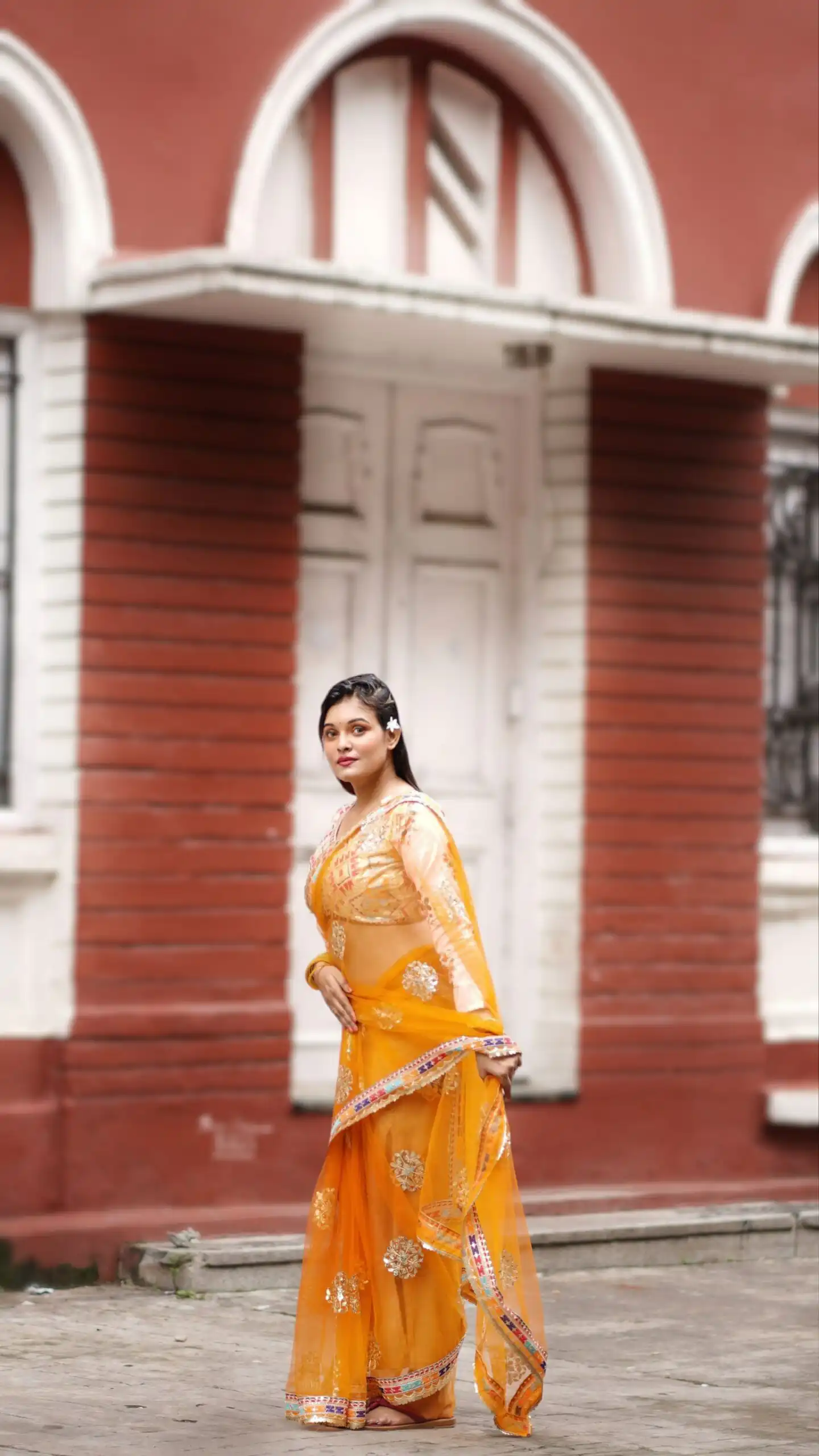 Magical Mustered Butterfly Net Embroidery Work Saree - Image 2