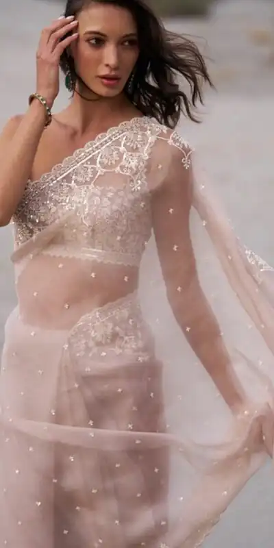 JR 650 in Off White Tabby Organza Sequins Work & Embroidery Work Saree . Available at ₹1899 only. Delivery 4-6 Working Days. Shop now. | Designer Sarees, Modern Digital sarees, Sarees, Bollywood Sarees, Creative Sarees, Embroidered Sarees, Ethnic Saree, Party Wear Sarees