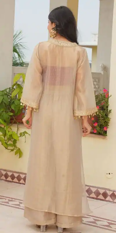 AD 241 Cream in Golden Tissue Embroidery Work & Sequins Work Salwar Suit. Get it for ₹2149. Delivery 4-6 Working Days. Shop now. | Jump Suits, Salwar suit, Casual Suits, Creative suits, Designer Suits, Palazzo Suits, Party Wear Suits, Patiala Suits, Straight Suits