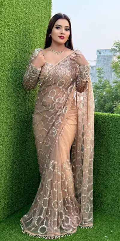 DF 3490 Chiku Color Butterfly Net Heavy 5mm Sequins Embroidery work Saree Casual, Wedding, Festive, Events . Expected Delivery  4-6 Working Days @1799/- only                                                                                | Designer Sarees, Modern Digital sarees, Sarees, Bollywood Sarees, Creative Sarees, Embroidered Sarees, Ethnic Saree, Party Wear Sarees