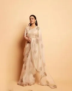 Beautiful Cream Color Organza Silk With Embroidery Work Saree