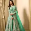 Drashti Dhami Light Green Embroidered Georgette Net Anarkali Suit