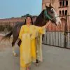 Special Look Yellow Jam Cotton Embroidery Work Sharara Suit