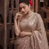 Majestic Chiku Color Georgette Beautiful Embroidery Saree