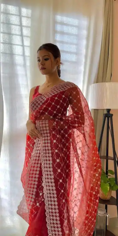 Sublime Red Color Organza Embroidery Thread Work Saree