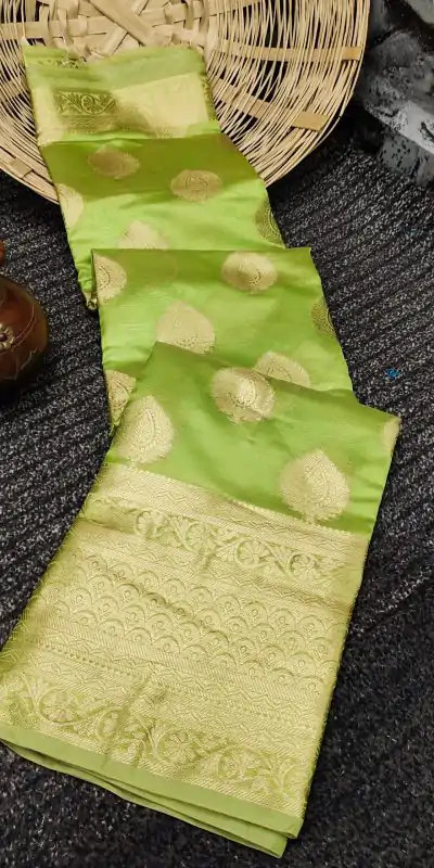 Dazzling Light Green Color Organza Silk Beautiful Gold Zari Saree