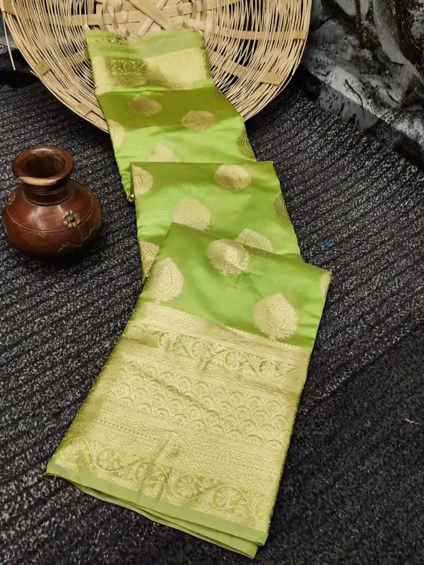 Dazzling Light Green Color Organza Silk Beautiful Gold Zari Saree