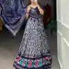 Aglow Navy Blue Color Tussar Silk Ikkat Print Foil Work Lehenga Choli