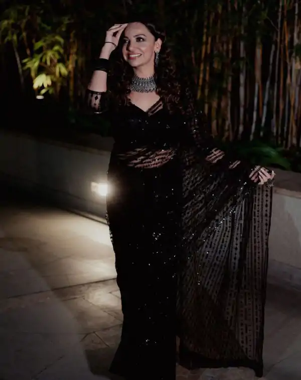 Black Butterfly Net Embroidery Saree