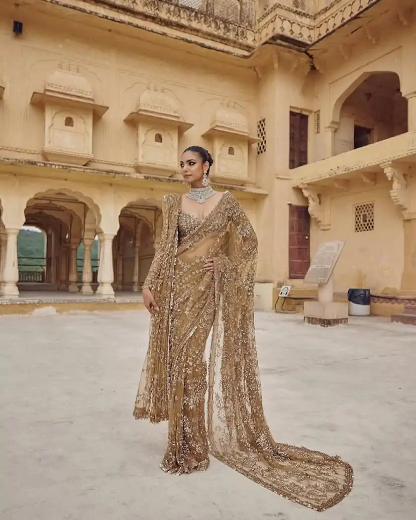 Chiku Mono Net Sequence Saree - Image 3
