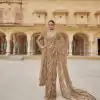 Chiku Mono Net Sequence Saree