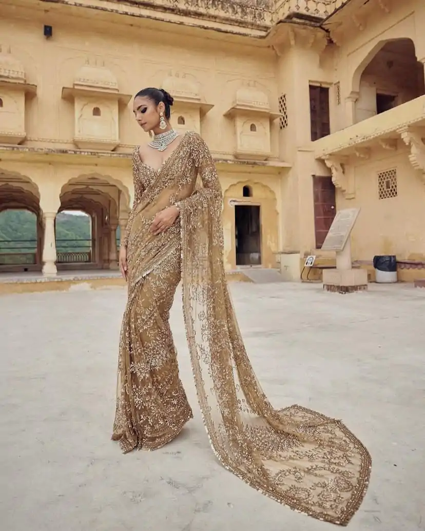 Chiku Mono Net Sequence Saree - Image 4
