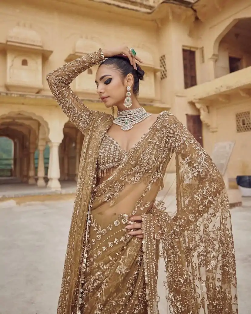 Chiku Mono Net Sequence Saree - Image 2