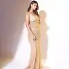 Chiku Mono Net Sequins Saree