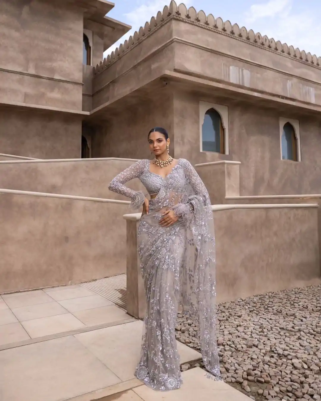 Grey Mono Net Embroidery Saree