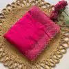 Rani Jimmy Choo Diamond Saree