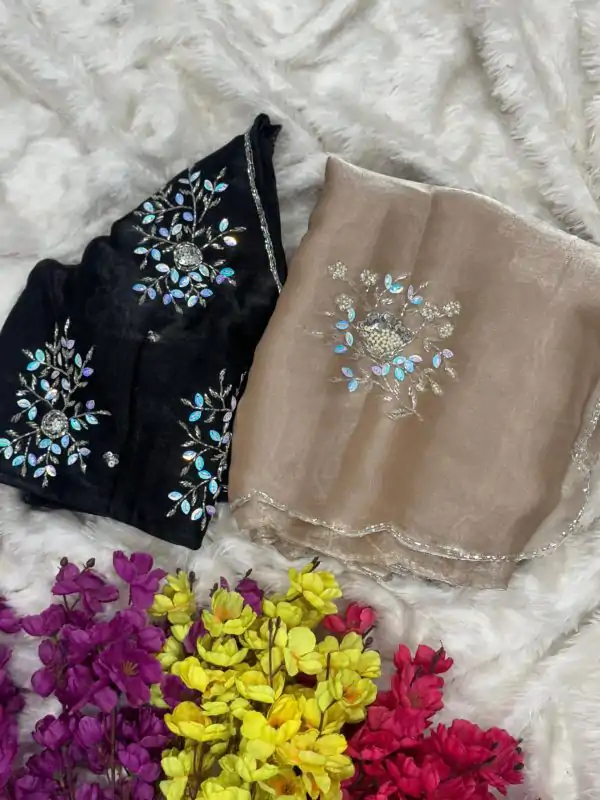 Chiku Soft Jimmy Chuu Lace Border Saree