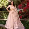 Light Pink Gold Crush Sequins Lehenga Choli