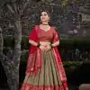 Mehandi Tasar Silk Print Lehenga Choli