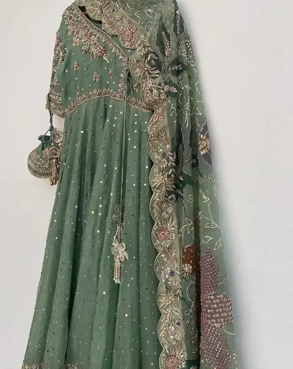 Pista Chinon Lace Embroidery Work Gown