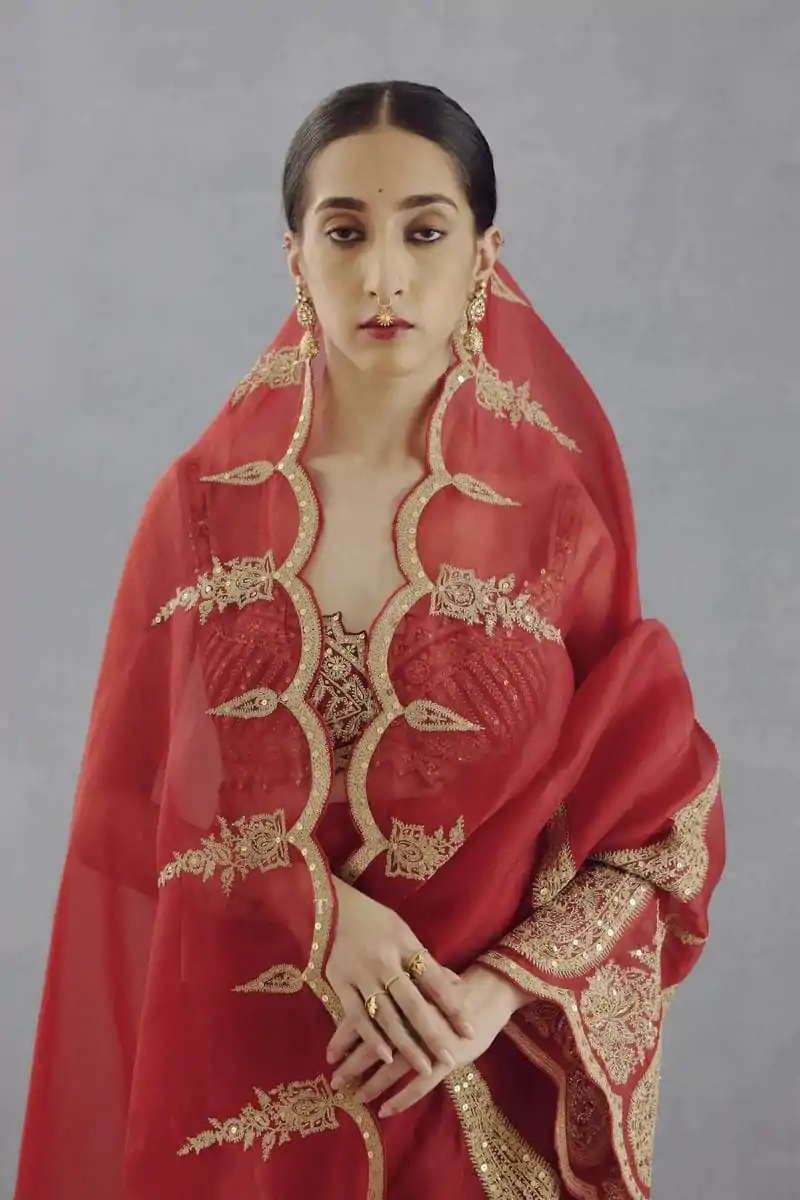 Red Organza Tissue Sequins Work Embroidery Saree - Image 2