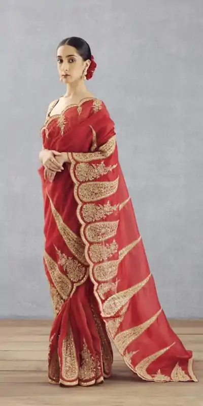 Red Organza Tissue Sequins Work Embroidery Saree
